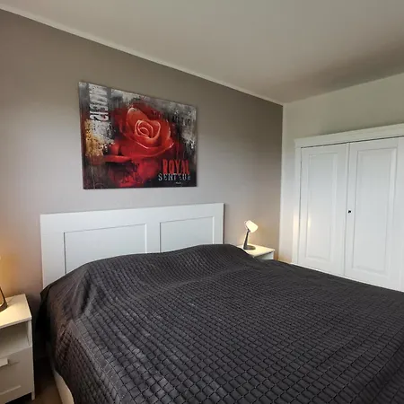 Hofmann 11 * 维特蒙德